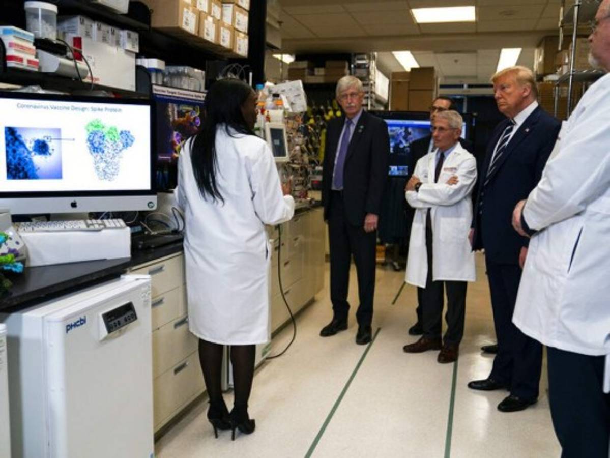 Pronto probarán vacuna contra el coronavirus en humanos