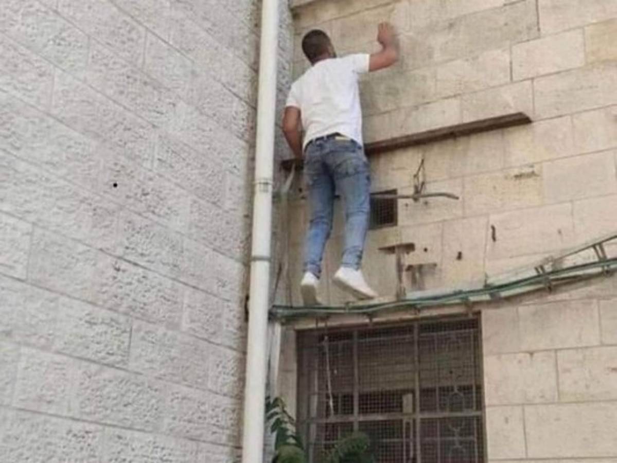 El joven escalaba las paredes hasta llegar a la ventana de la sala donde sabía se encontraba su mamá.