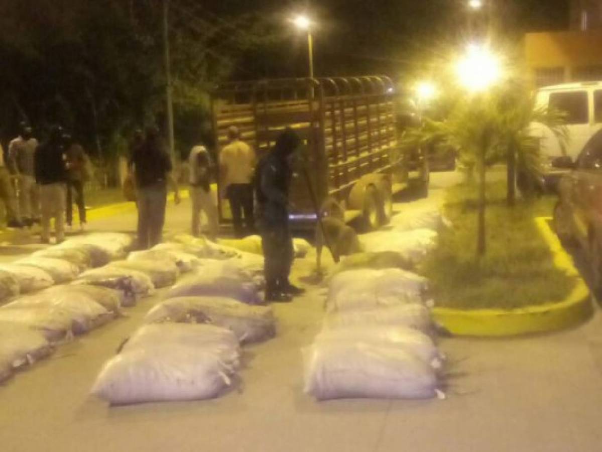 Honduras: escondidas en bolsas de gallinaza encuentran drogas