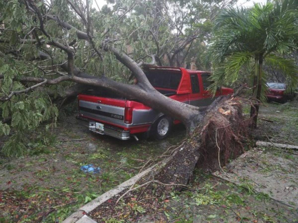 Tres muertos en Florida mientras es azotada por el huracán Irma
