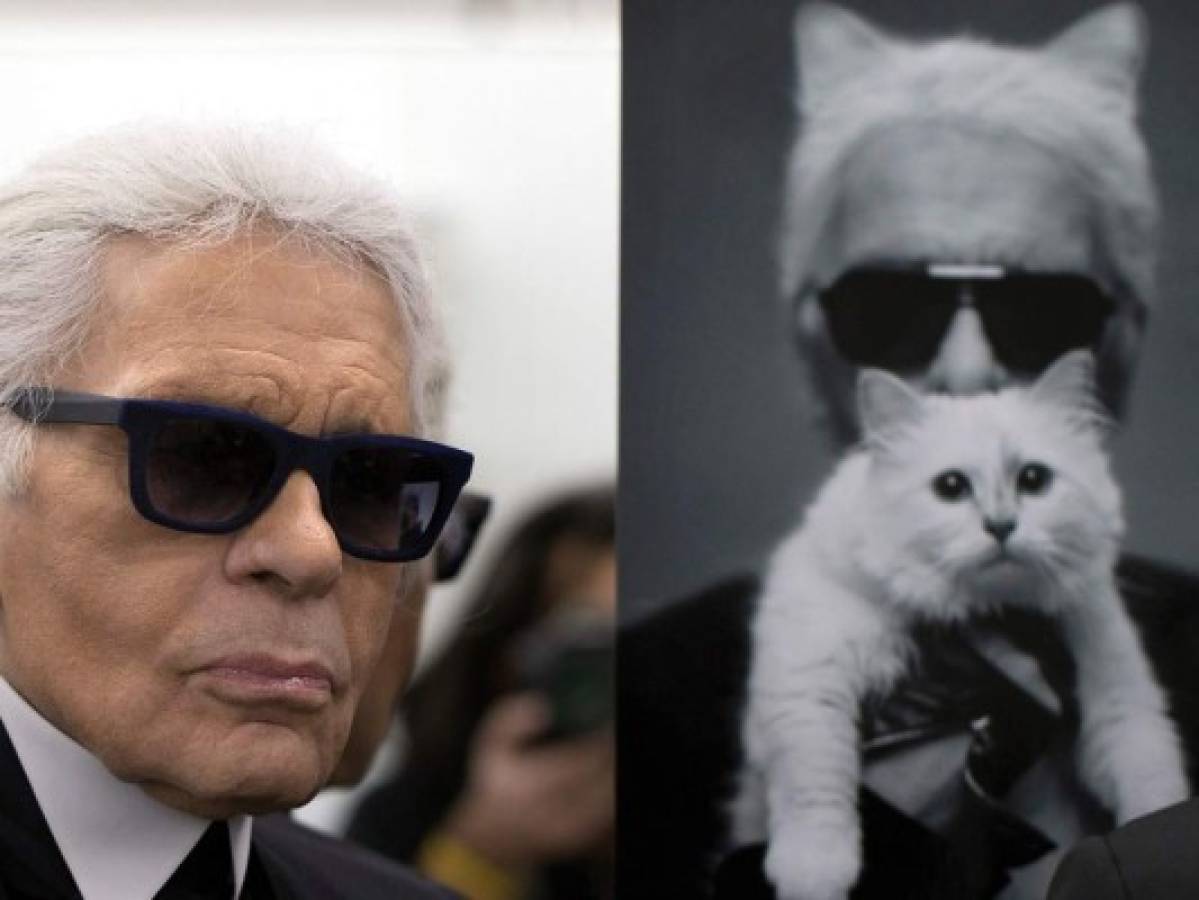 Karl Lagerfeld habría dejado parte de su herencia a su gata Choupette