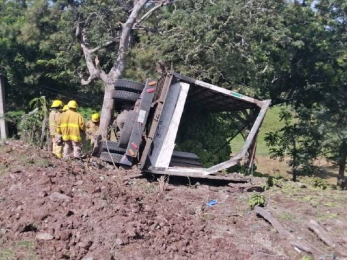 El camión chocó contra un árbol cercano a la carretera.