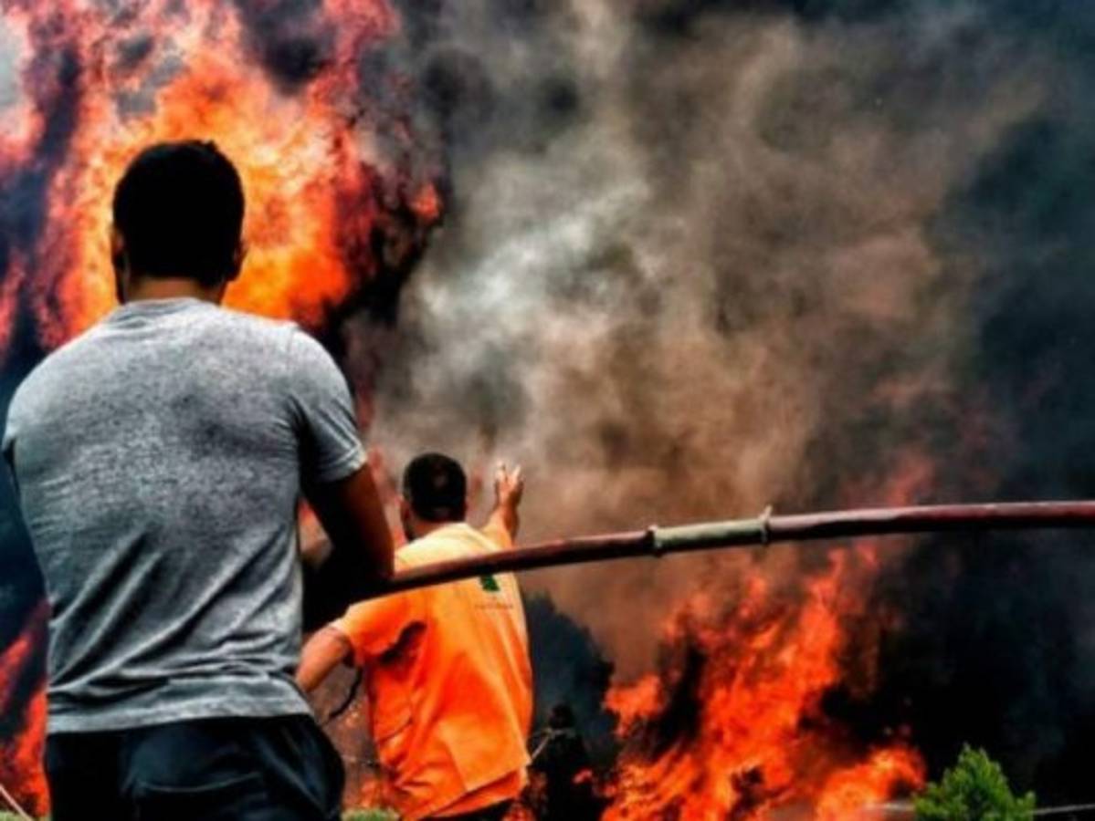 ¿El cambio climático es el responsable de la canícula que provoca devastadoras olas de calor?