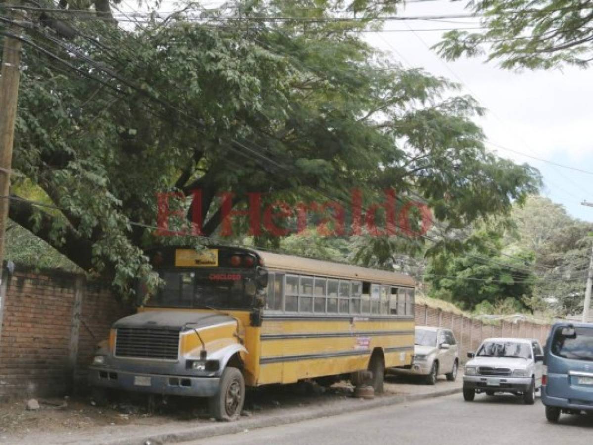 Bus impide el paso de ciudadanos en acera de la colonia 21 de Febrero de la capital