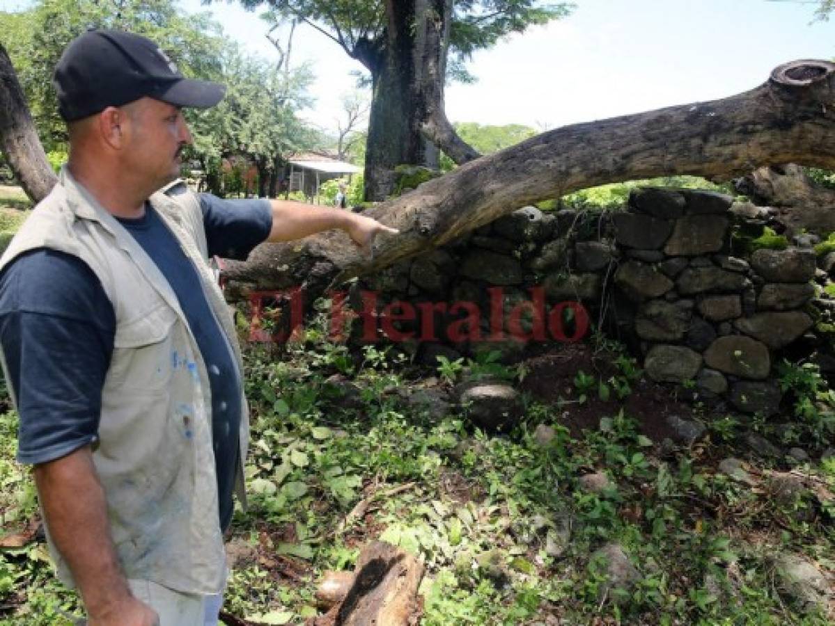 Históricas batallas: Francisco Morazán los hizo pelear y luego los atacó por detrás