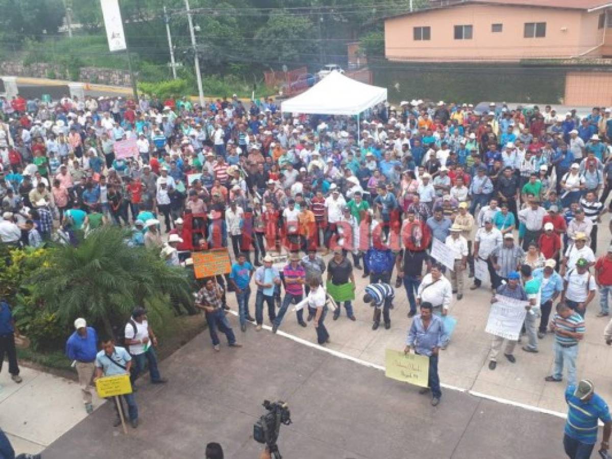 Honduras: Unos 10 mil productores de café protestan exigiendo mayor apoyo al sector