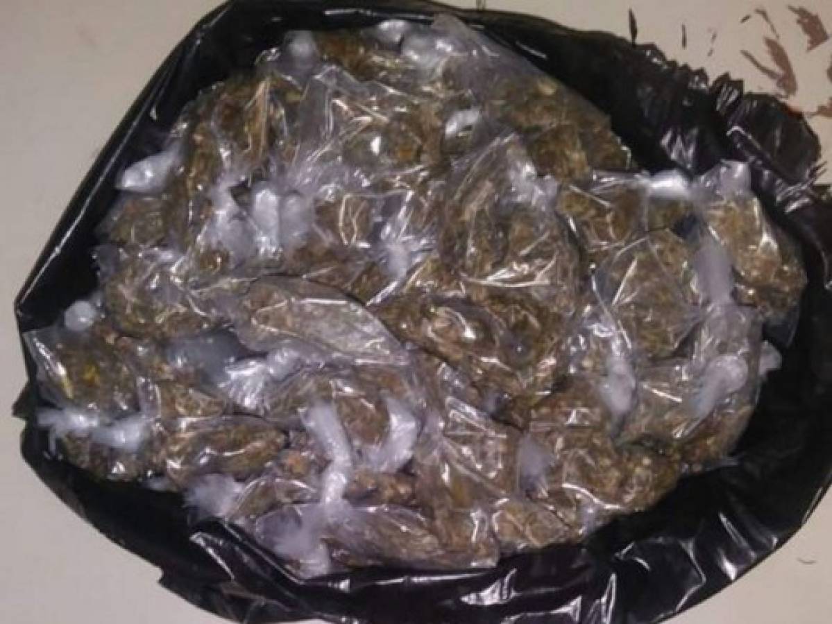 Decomisan 50 libras de supuesta marihuana tipo Crispy en El Progreso, Yoro