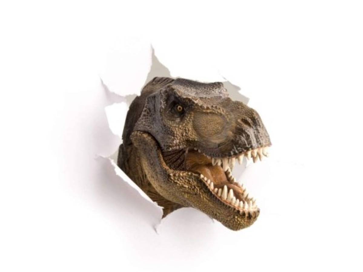 El artículo de Octavio Carvajal: 'Ombligo'