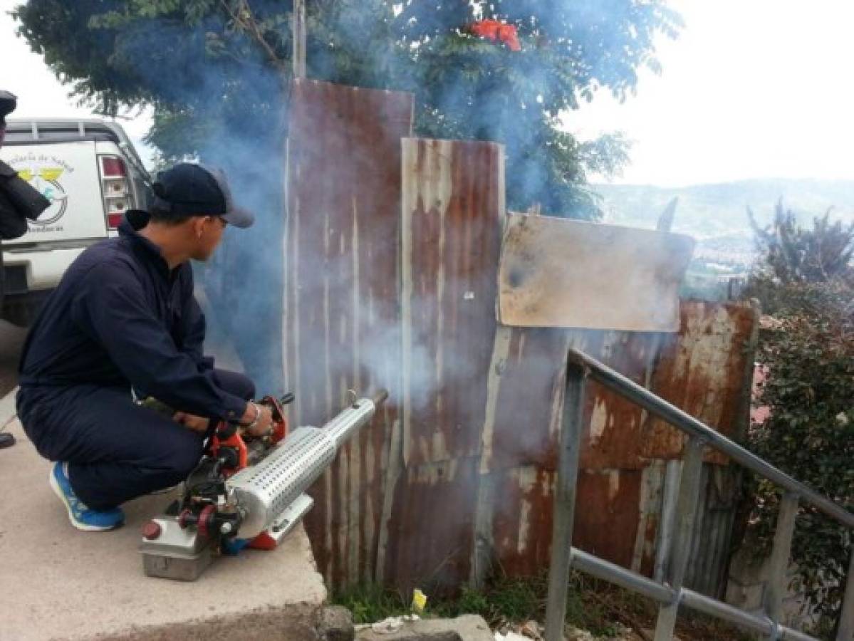 Atacan a zancudo del dengue en el oriente de Tegucigalpa