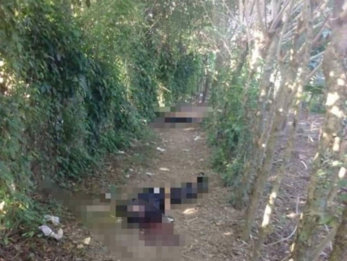 De varios balazos matan a dos jóvenes en el sector Bonitillo, en La Ceiba