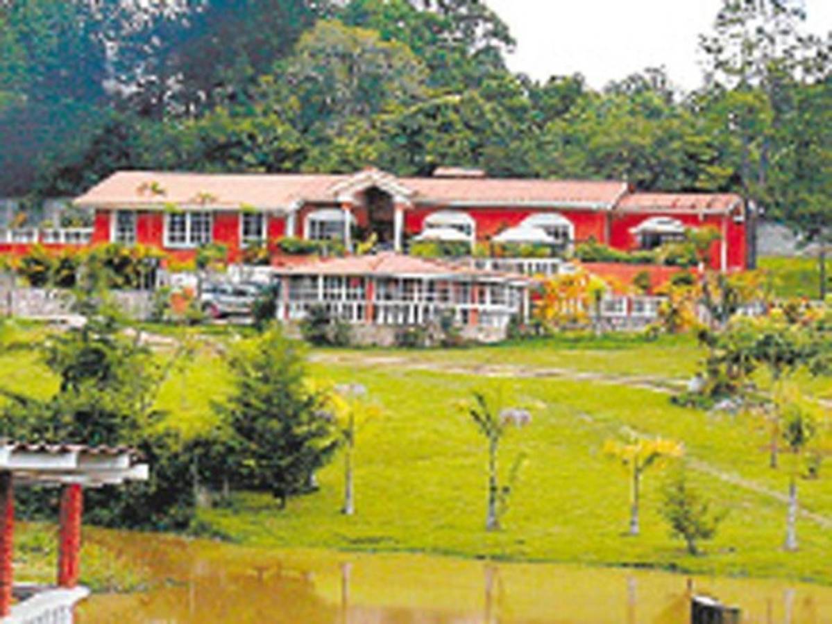 Chimirri debe probar cómo compró sus bienes