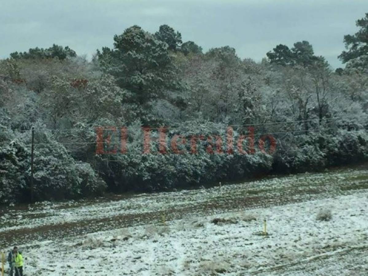 FOTOS: Hondureños en Houston, Texas, reportan sorpresiva nevada después de 9 años