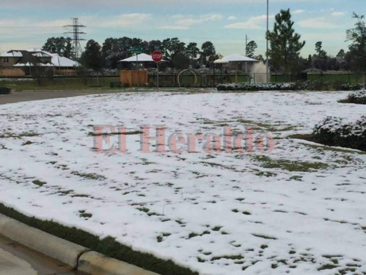 FOTOS: Hondureños en Houston, Texas, reportan sorpresiva nevada después de 9 años