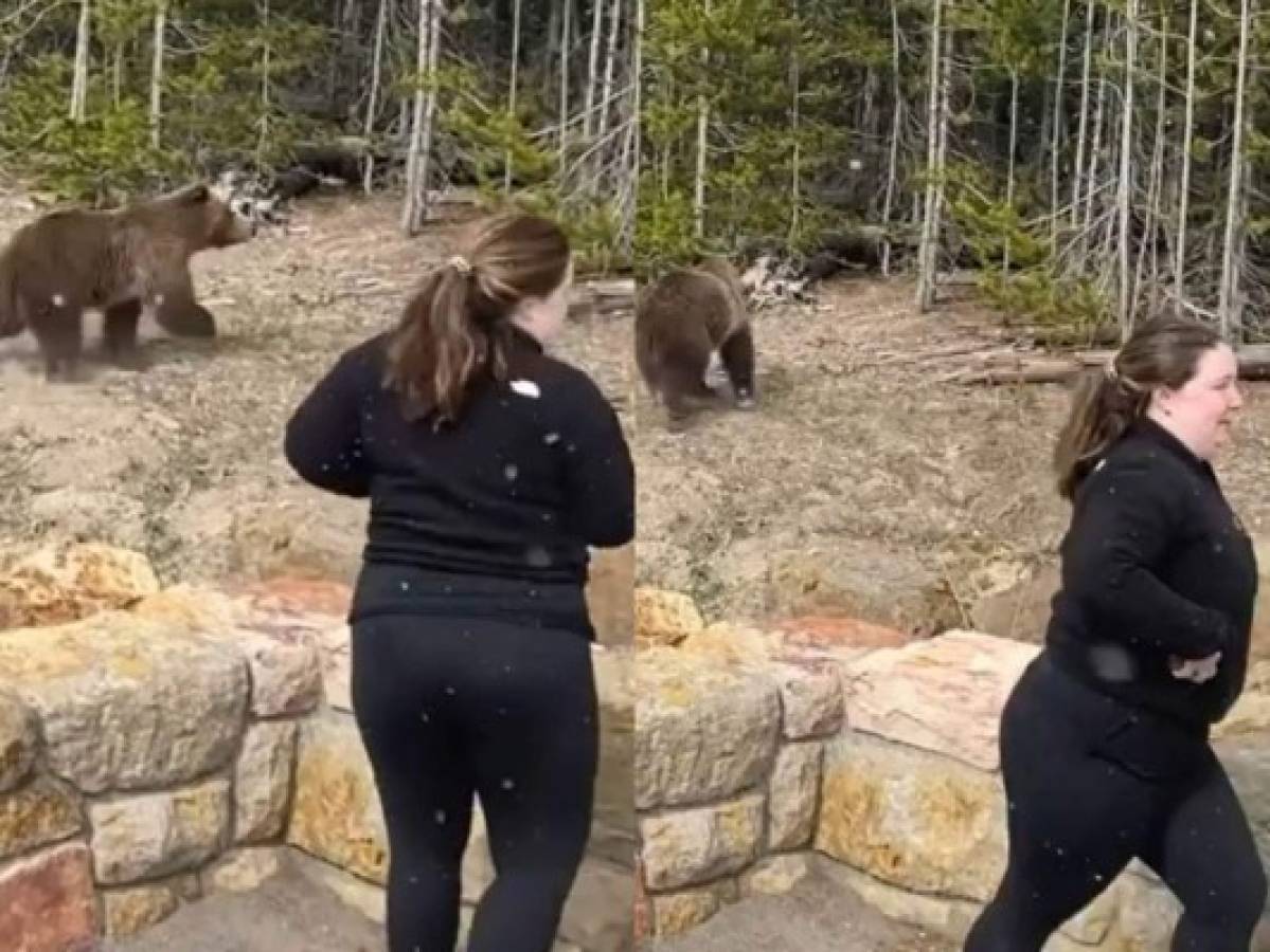 Mujer va presa por acercarse a osa grizzly para una foto