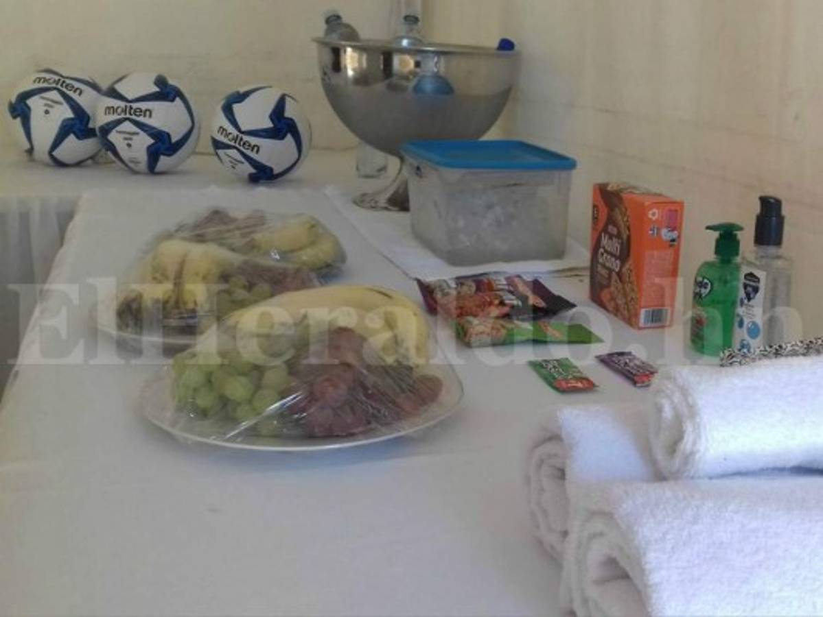 Estos son los alimentos que tandrá a su disposición.