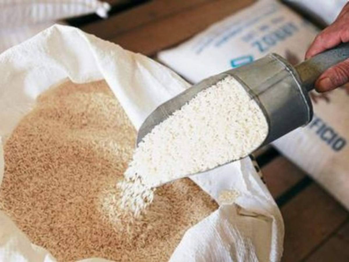 Honduras: Importarán 40,000 toneladas de arroz