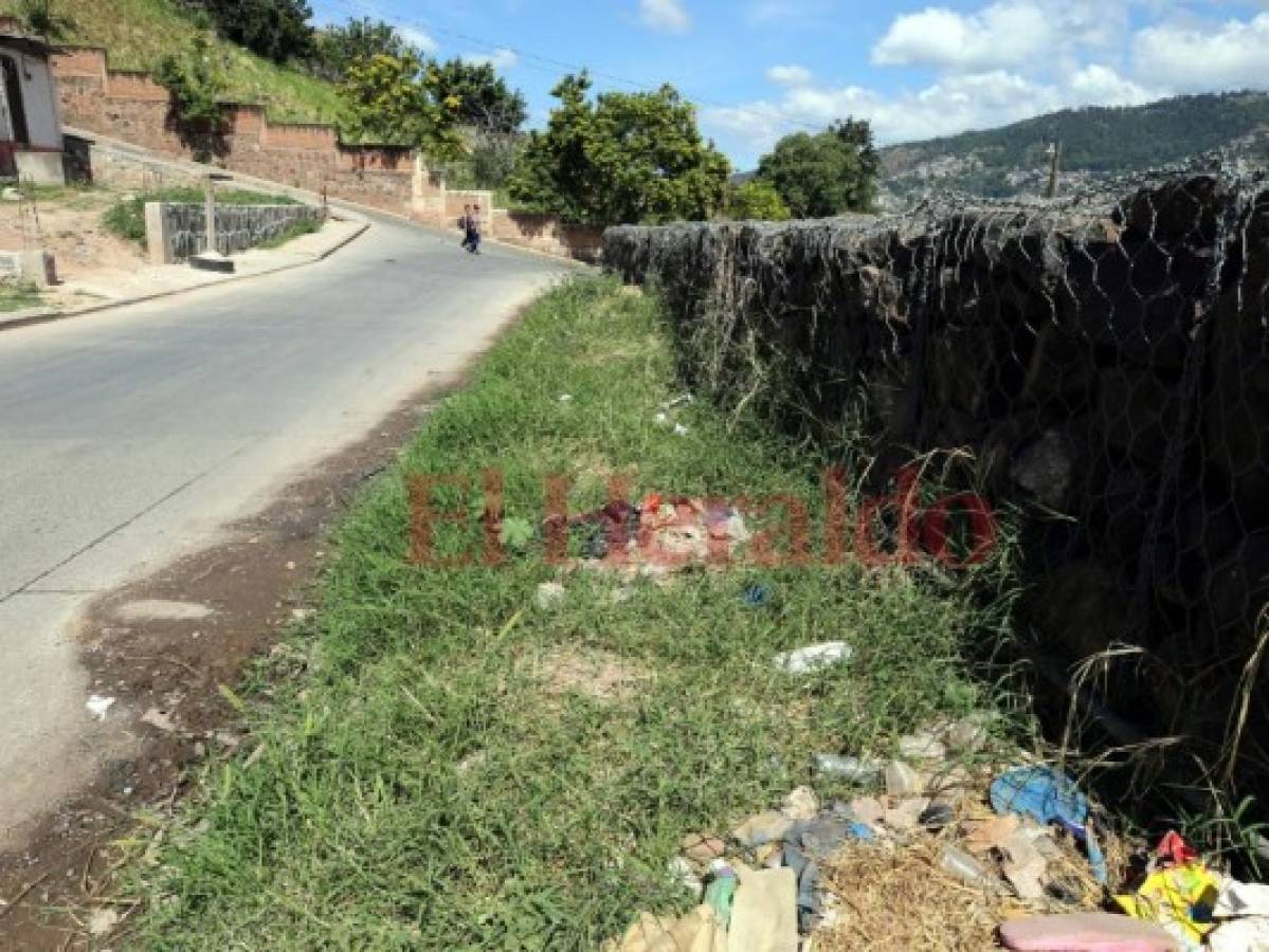 Acera se pierde por la maleza en el barrio Sipile de la capital de Honduras
