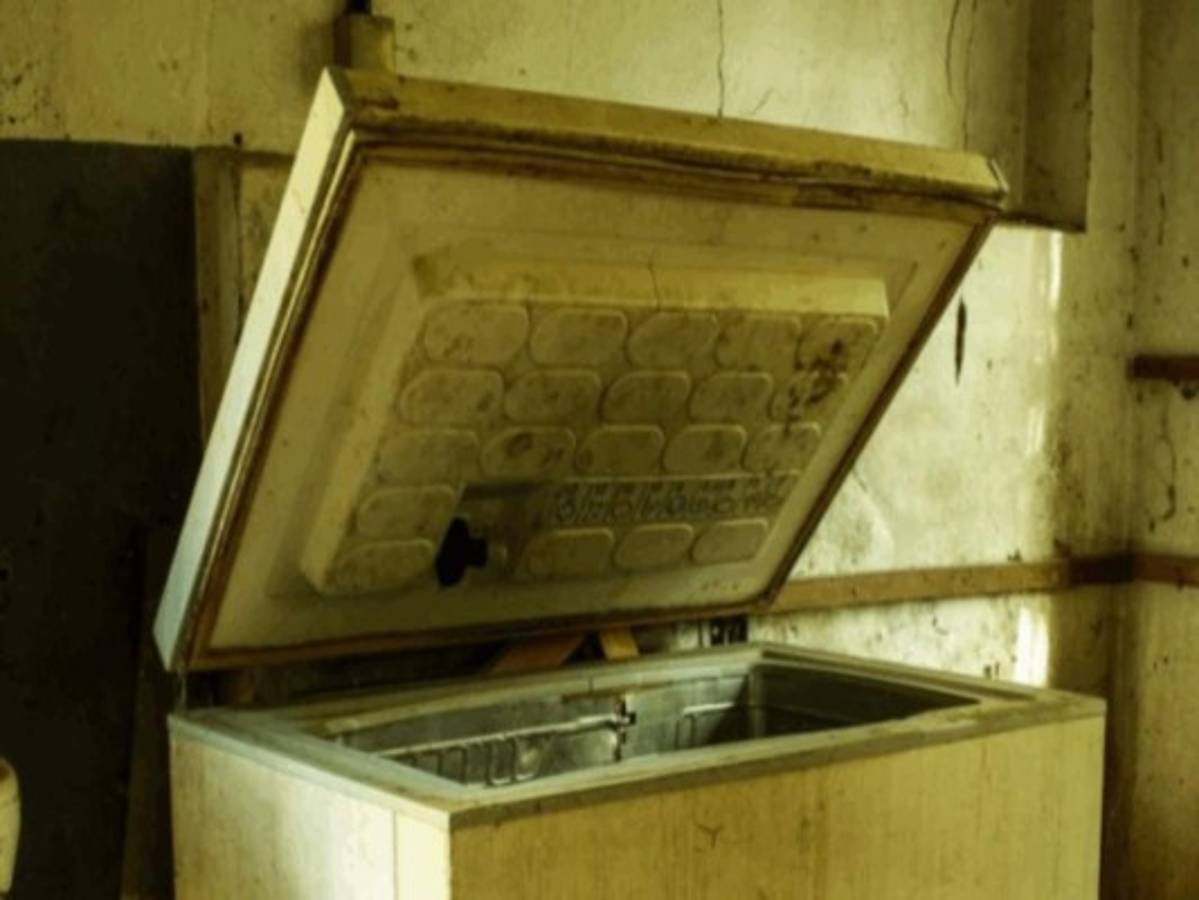 Una japonesa esconde el cadáver de su madre en un congelador durante 10 años