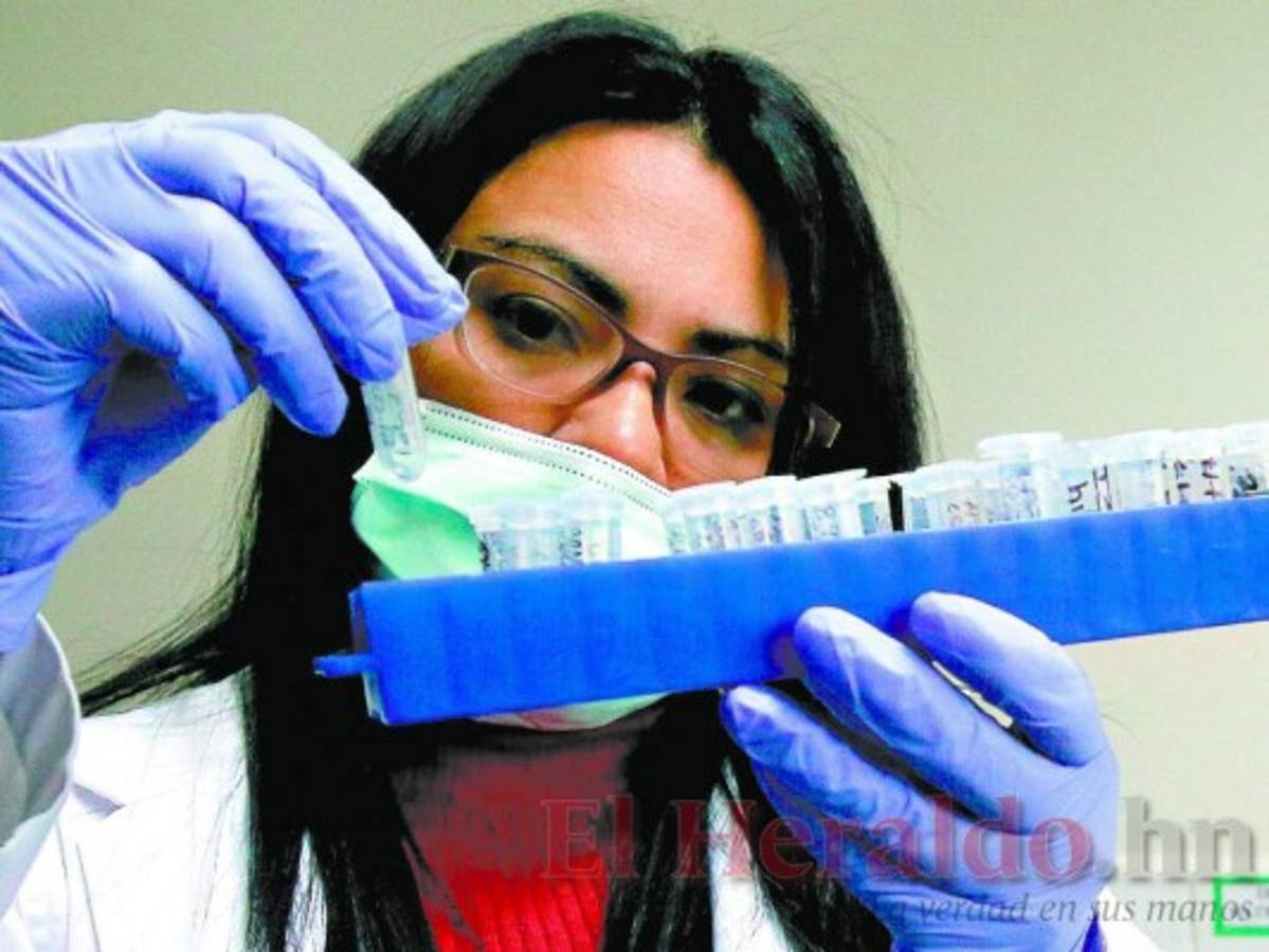 Cada dos días identifican un cuerpo mediante pruebas de ADN