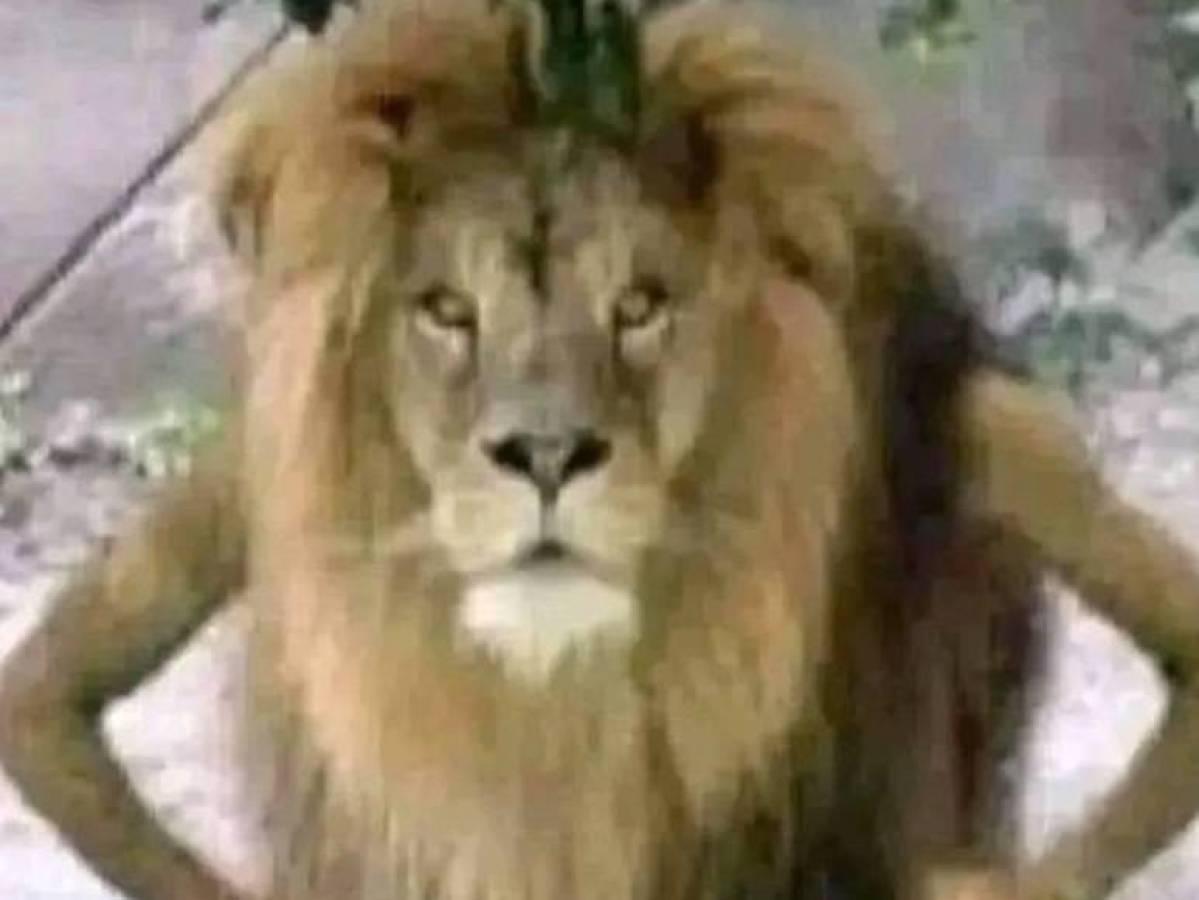 Memes que dejó triunfo de Real España sobre el Olimpia en el Morazán