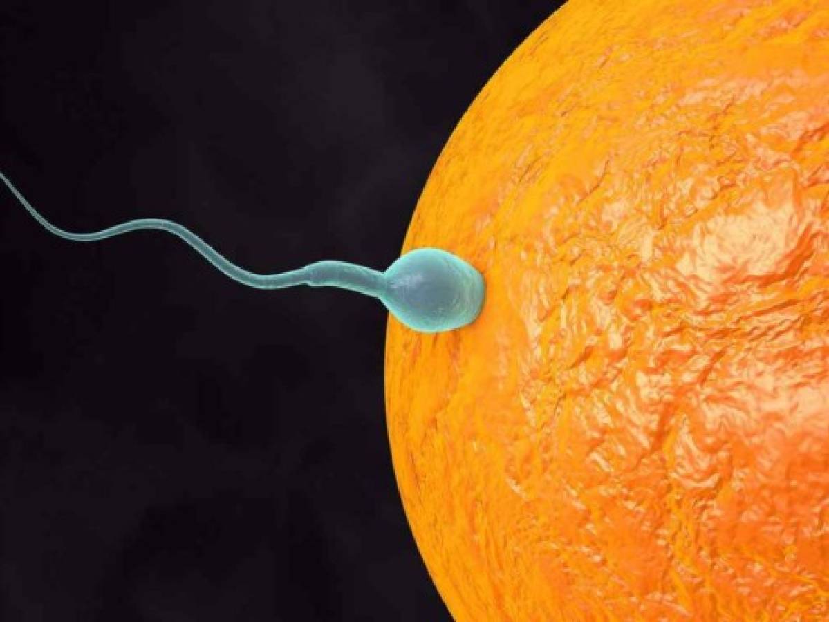 El método anticonceptivo que 'engaña' a los espermatozoides