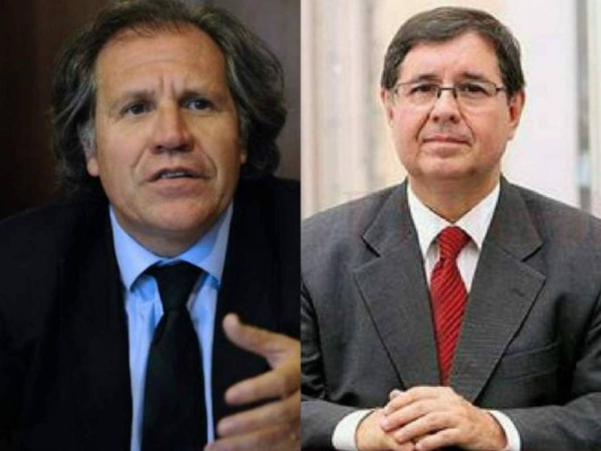 Gobierno responde a la OEA sobre propuesta de nuevo vocero de la Maccih