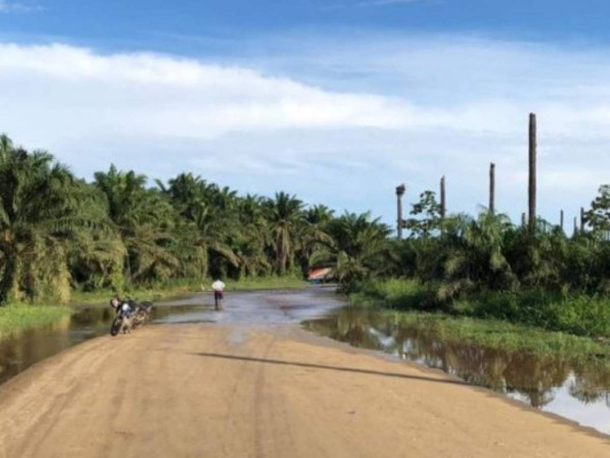 Copeco baja nivel de alerta en Atlántida, Colón, Islas de la Bahía y Cortés