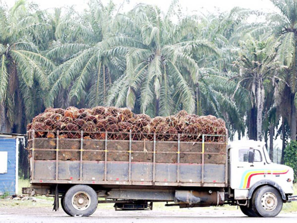 Hugo Chávez quiere comprar tierras en Bajo Aguán