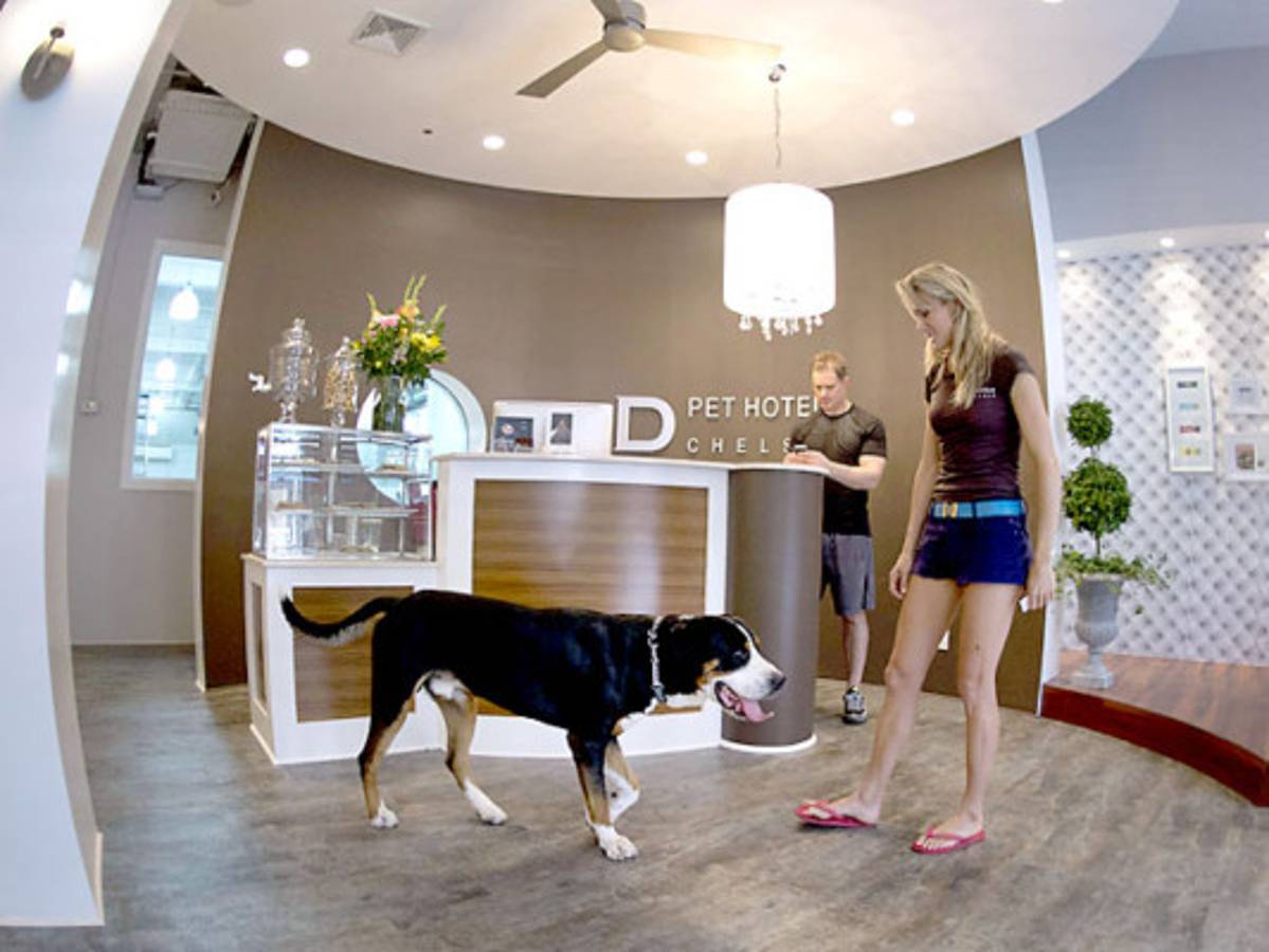 Hotel de lujo canino