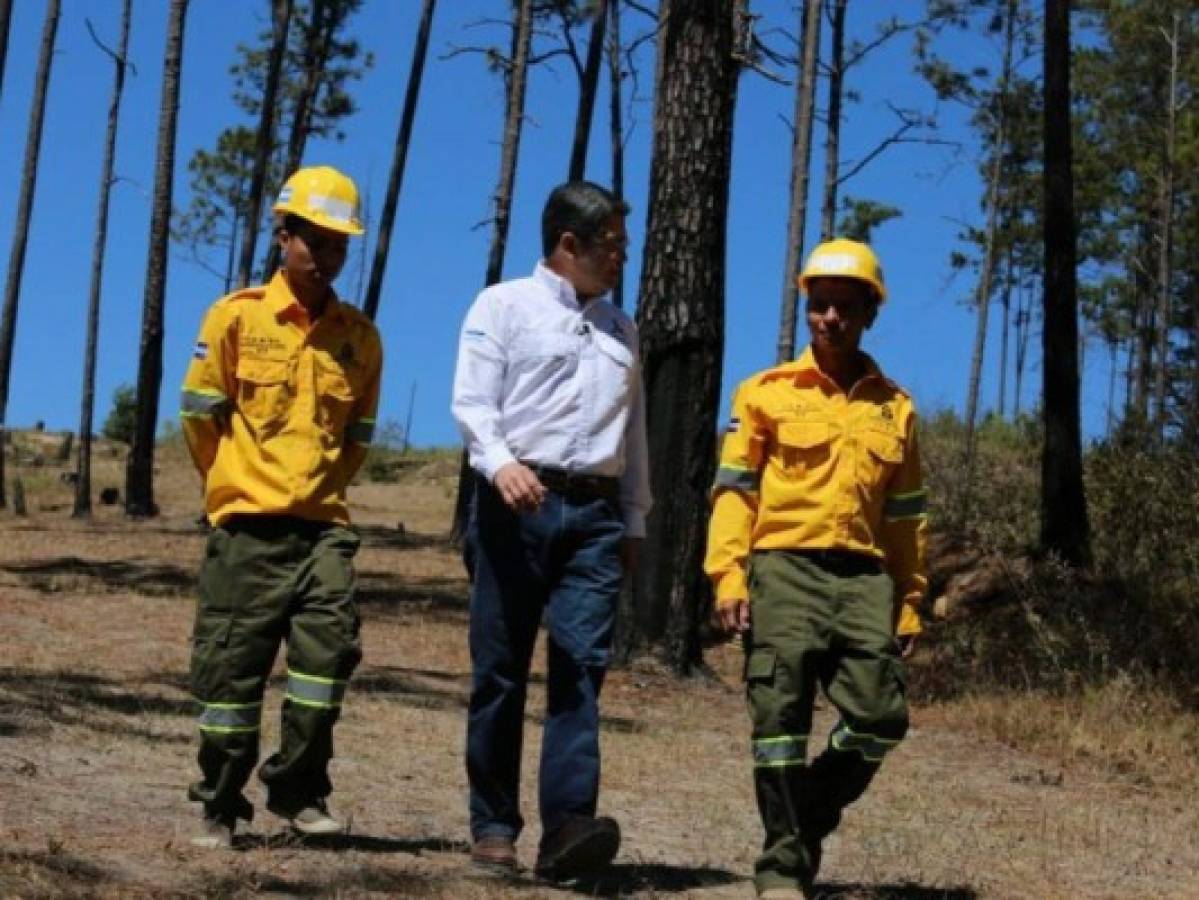 Presidente Hernández lanza programa para combatir incendios forestales