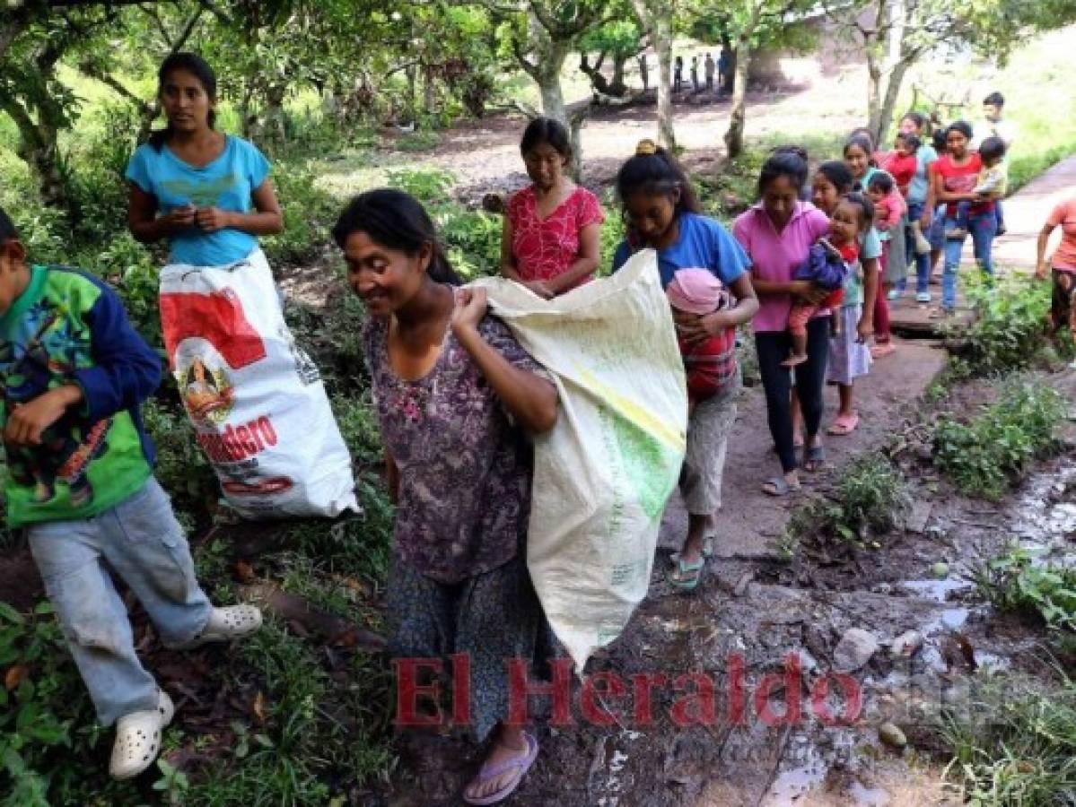 Honduras: Desabastecidos los centros de salud en la Montaña de la Flor
