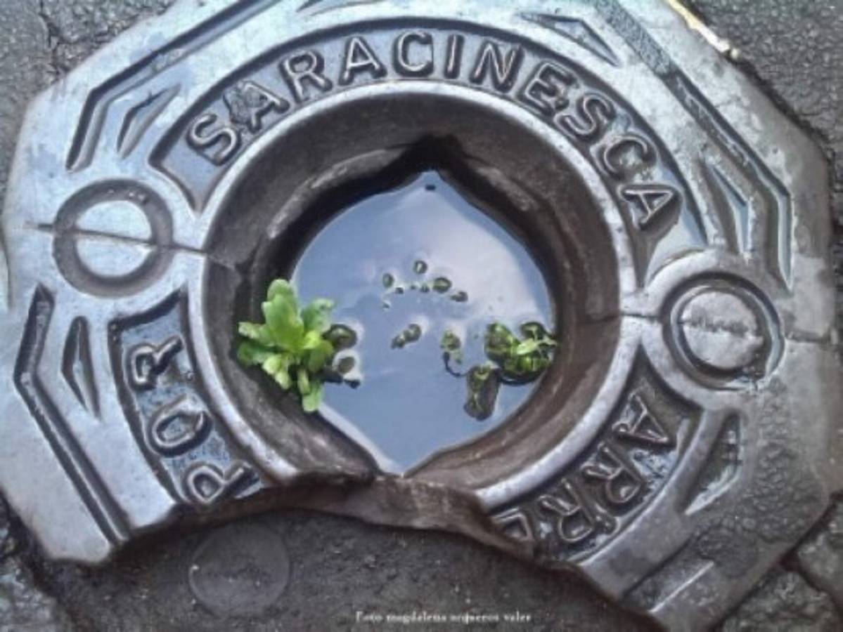 Domenico Vecchioni, un escritor 007 italianísimo