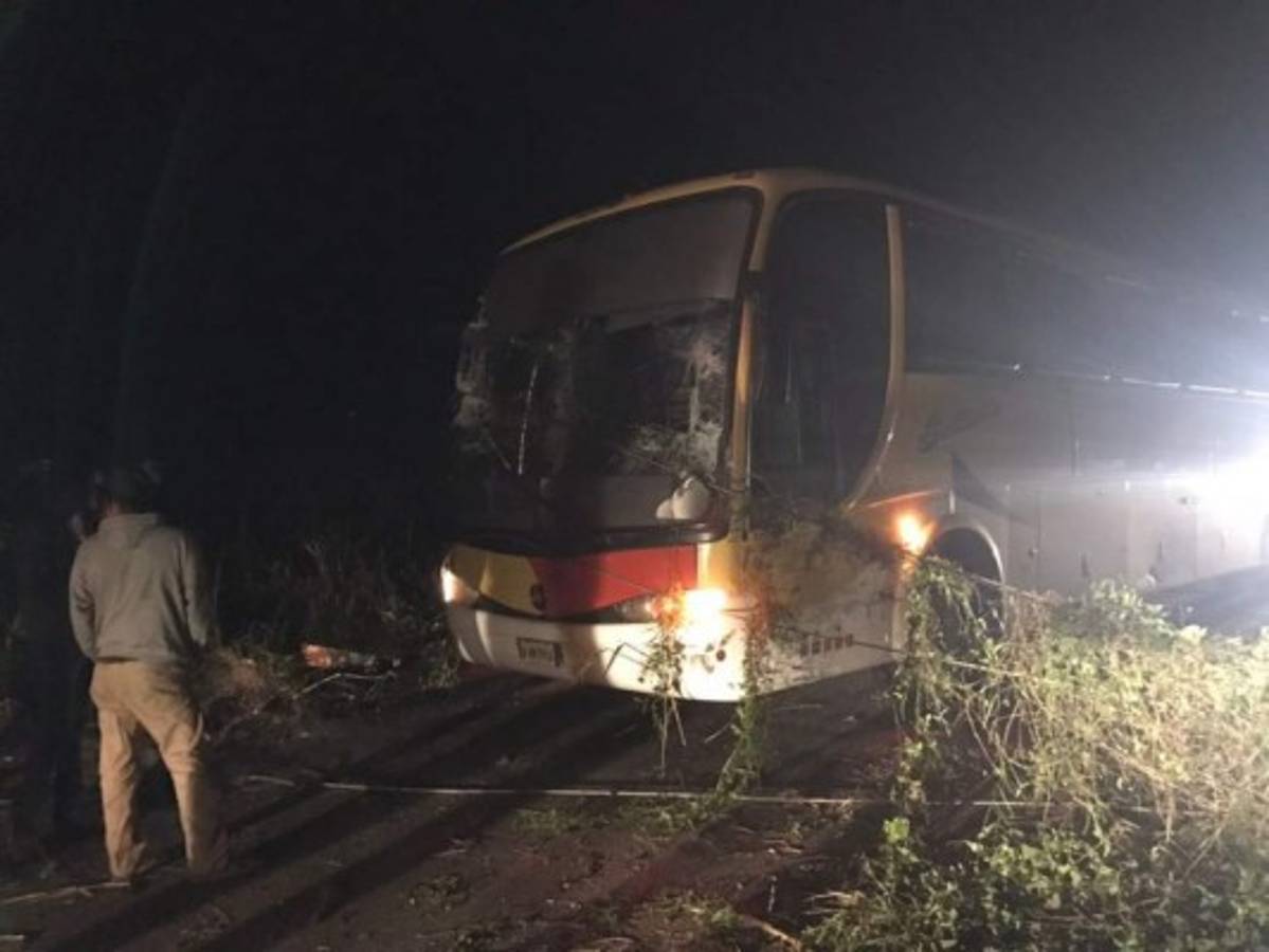 Impacto de autobús a red eléctrica en Santa Bárbara provoca pérdidas considerables