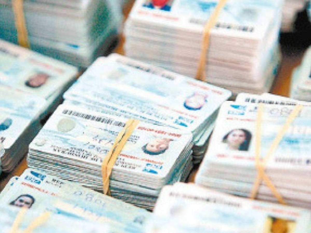 Este lunes concluye distribución de tarjetas para las elecciones del 26 de noviembre