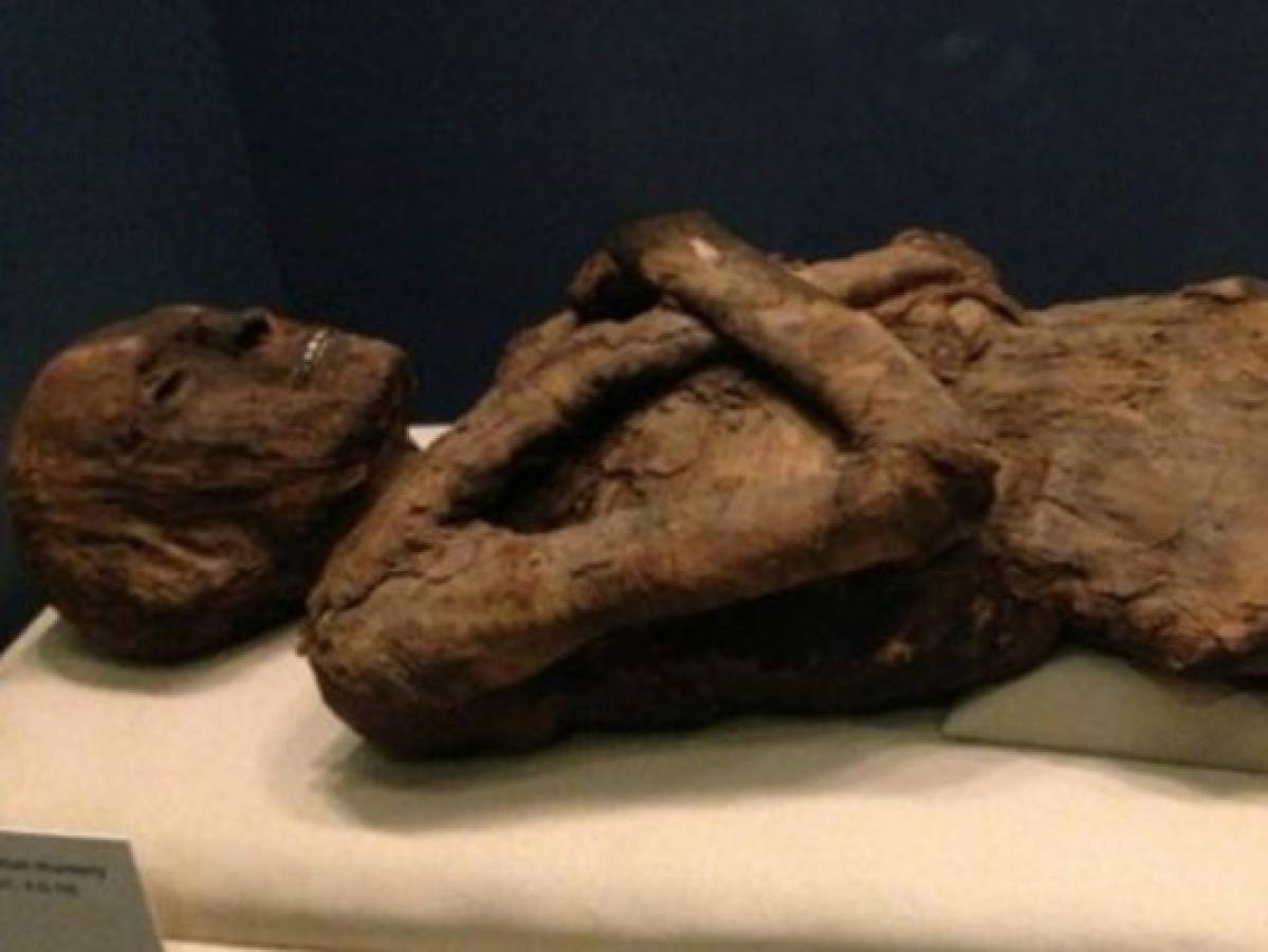 Hombre habría abusado sexualmente de momia de 2,500 años
