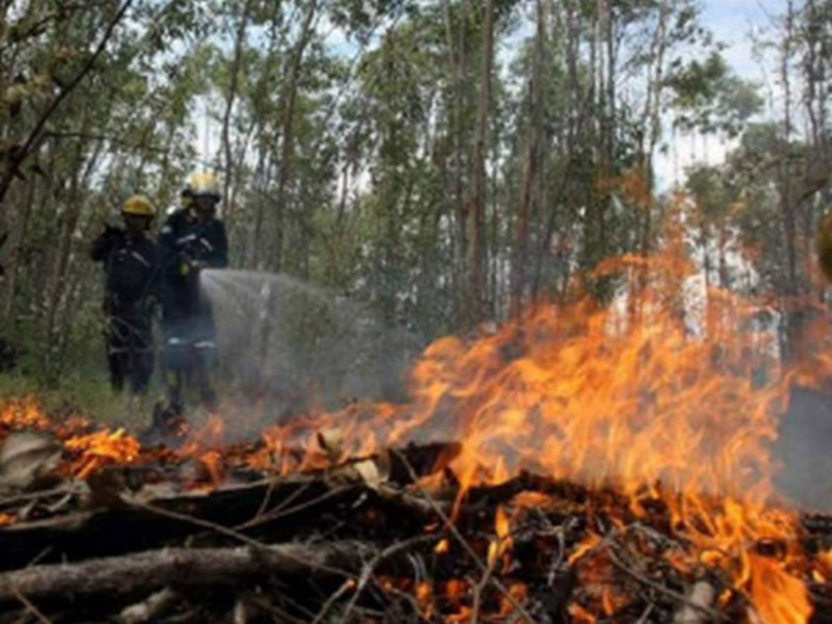 Olas de calor, amargo diagnóstico sobre el clima