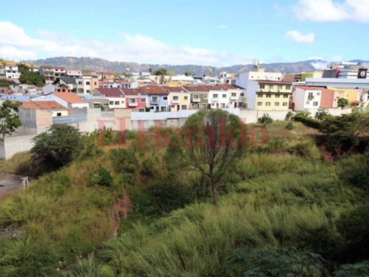 Alcaldía adjudicará en febrero primera etapa del Jardín Botánico en la colonia Hato de Enmedio