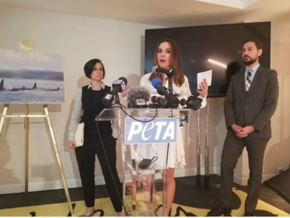 Kate del Castillo pide al Seaquarium de Miami que libere a la orca Lolita
