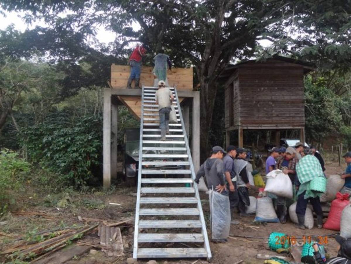 Honduras: La venta de café sostiene a Comayagua