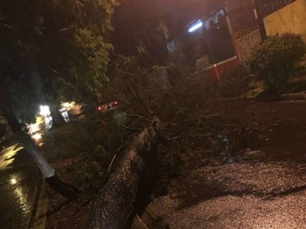 Honduras: Una persona muerta y 39 familias afectadas tras fuertes lluvias en la capital