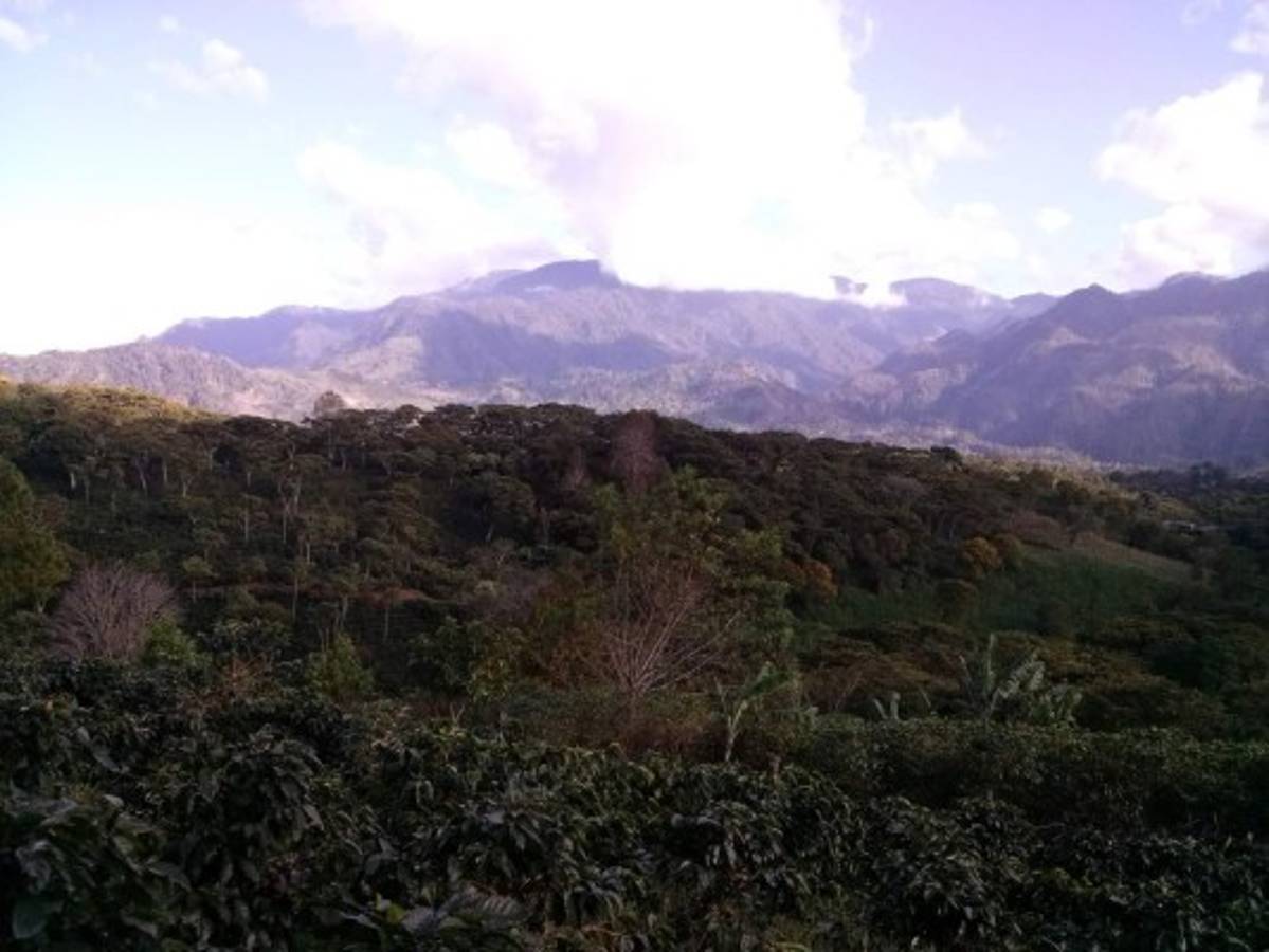 Turismo rural y de aventura bajo el cobijo de Celaque