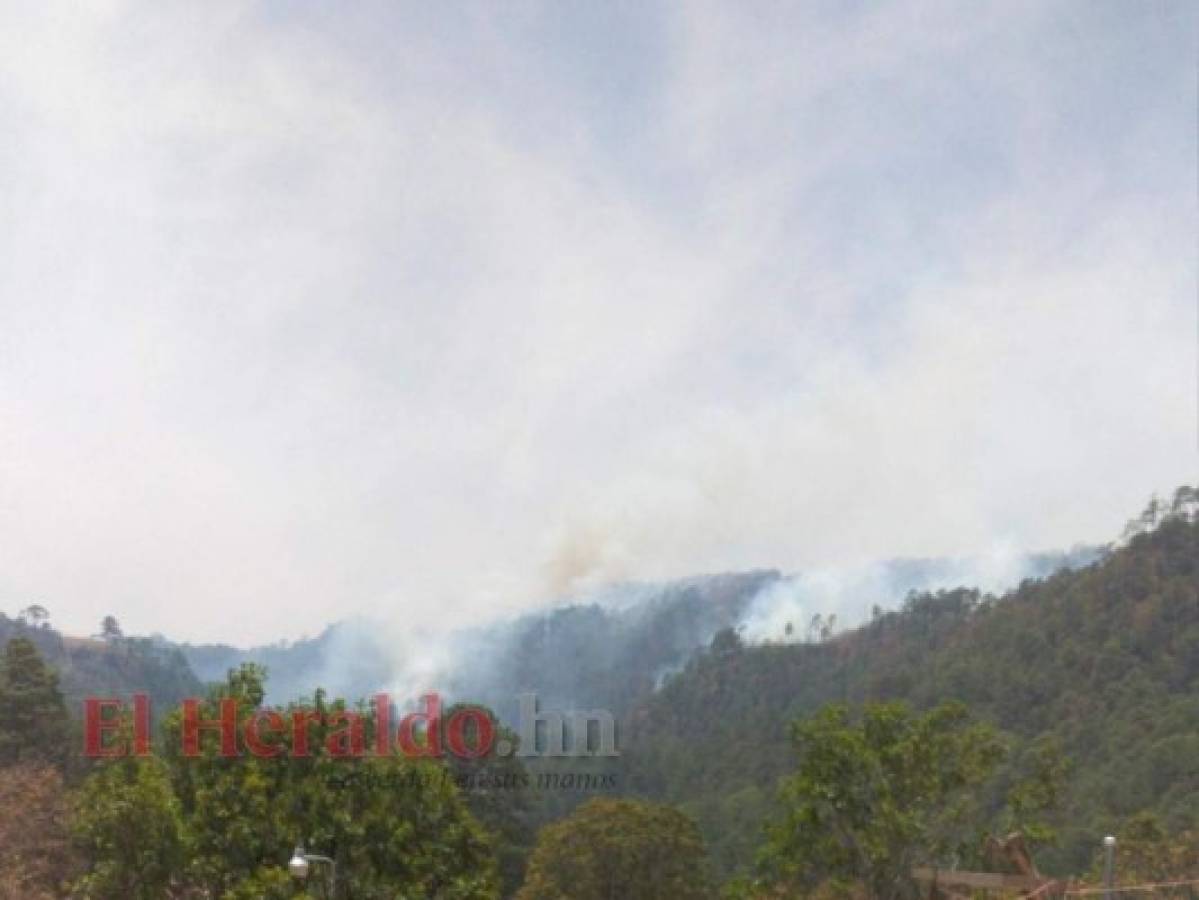 Tatumbla: En cuarentena por Covid-19, vecinos temen que incendio alcance sus viviendas