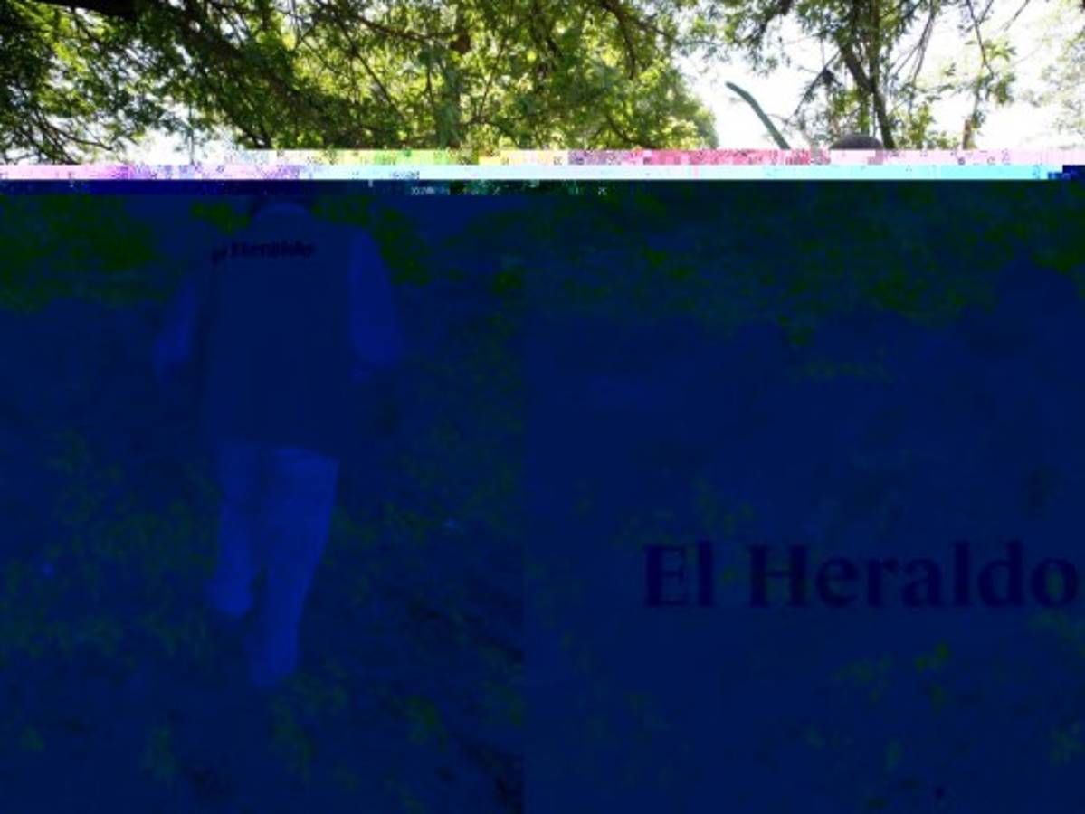 Los cercos de piedra de la hacienda de Jupuara aún se conservan. Foto: Emilio Flores / EL HERALDO.