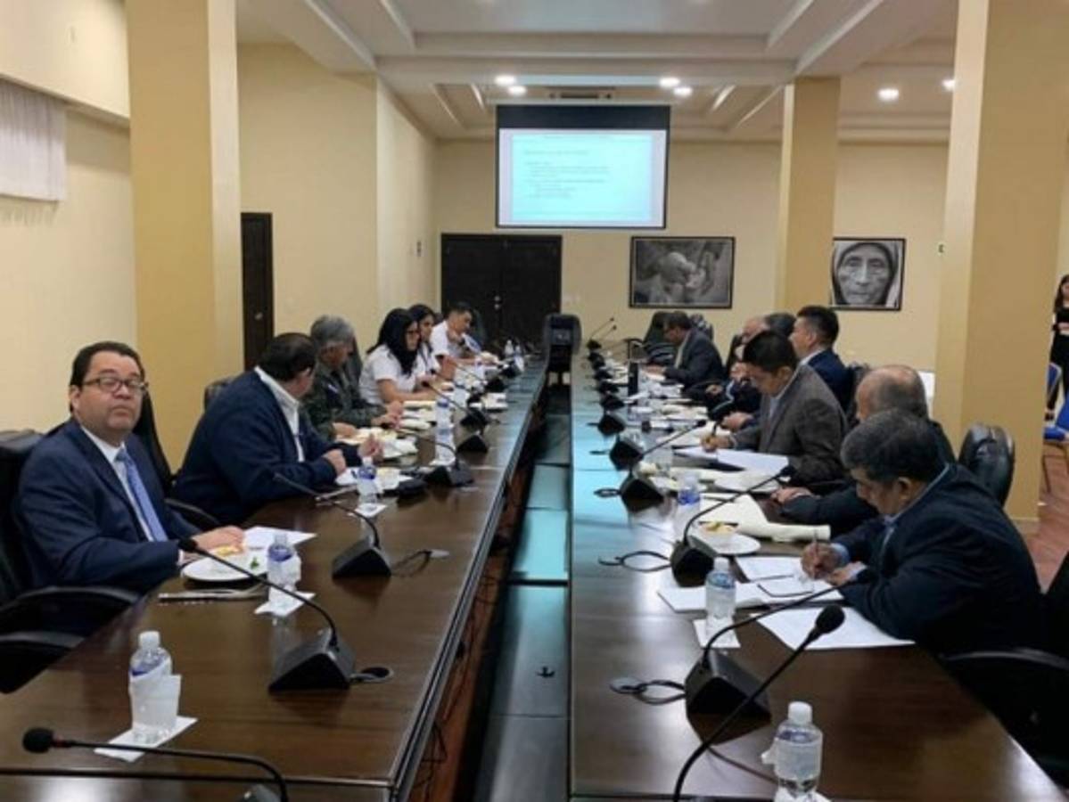 Gobierno y Consejo Nacional de Defensa analizan intervención de ENEE