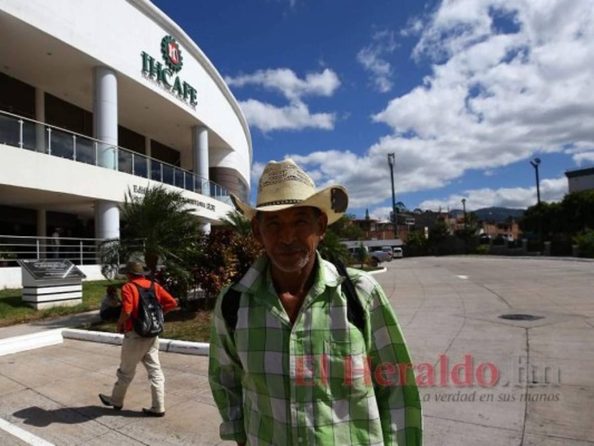 Ihcafé dice que está colaborando con auditoría que realiza el Tribunal Superior de Cuentas