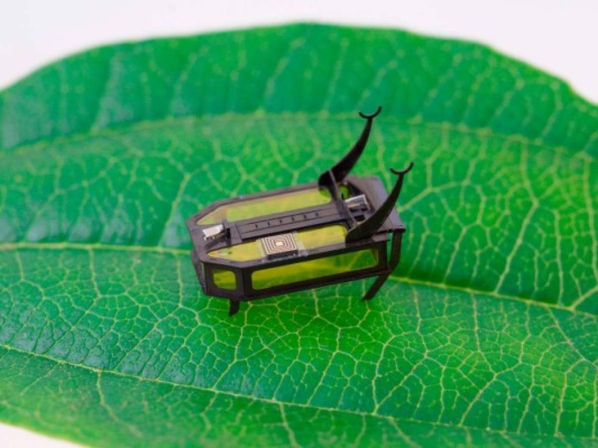 Crean un robot del tamaño de un escarabajo en Estados Unidos
