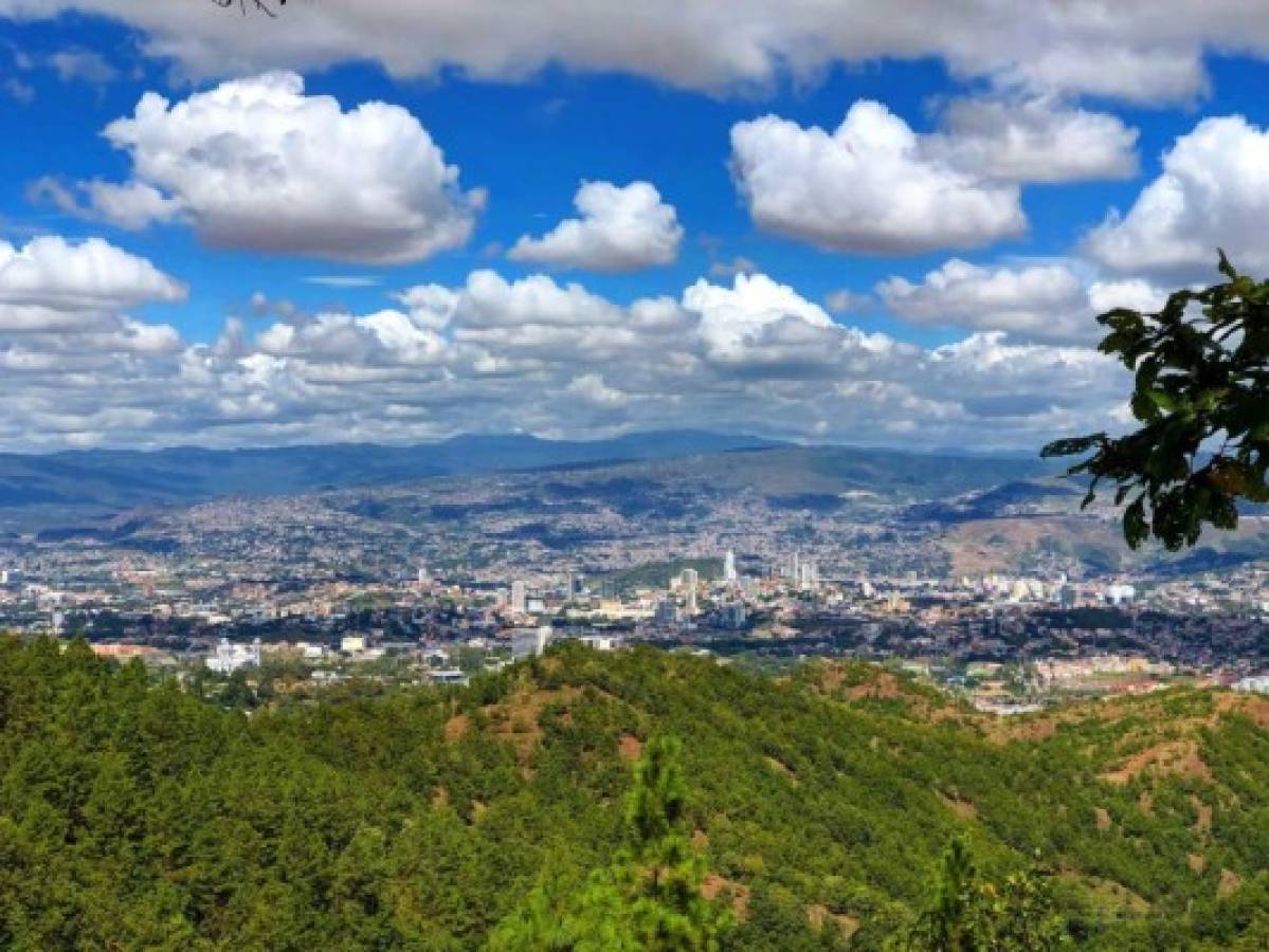 Héroes ambientales impulsan una reserva forestal en la aldea Suyapa