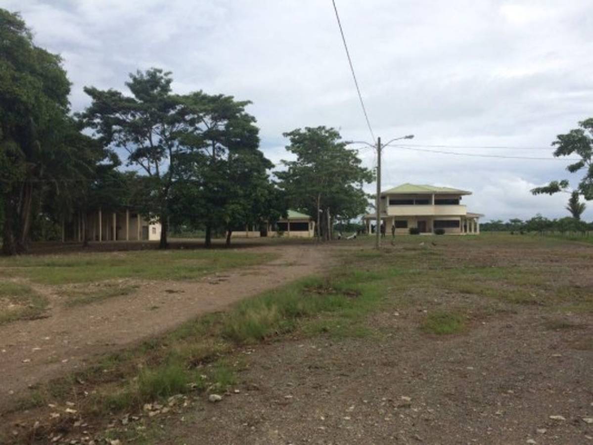 Aseguran más bienes a 'Los Cachiros' en Colón   