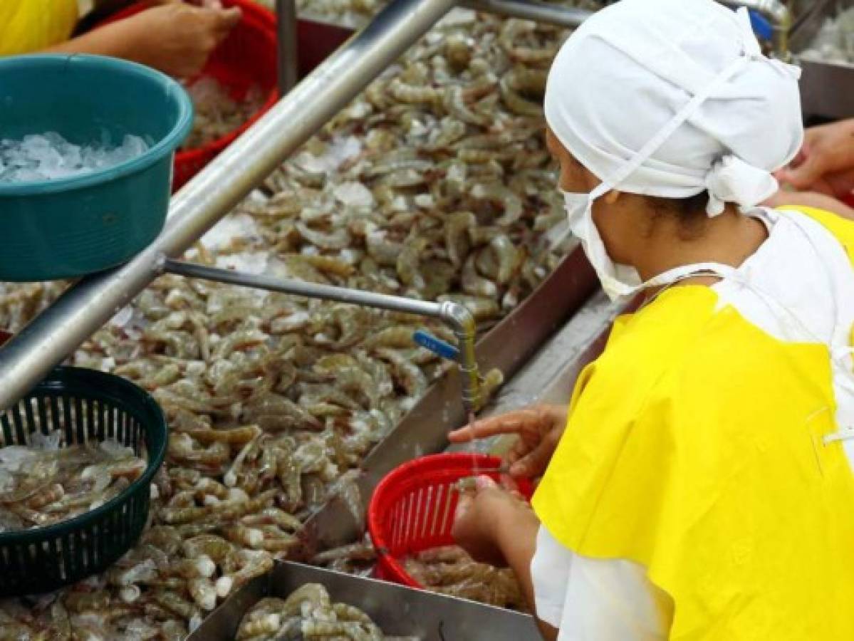 La exportación de camarón hacia México cayó 23 por ciento