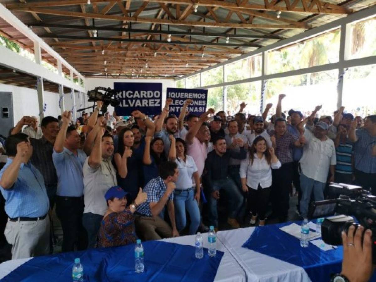 Movimiento Salvemos Honduras, de Ricardo Álvarez, define cuadros